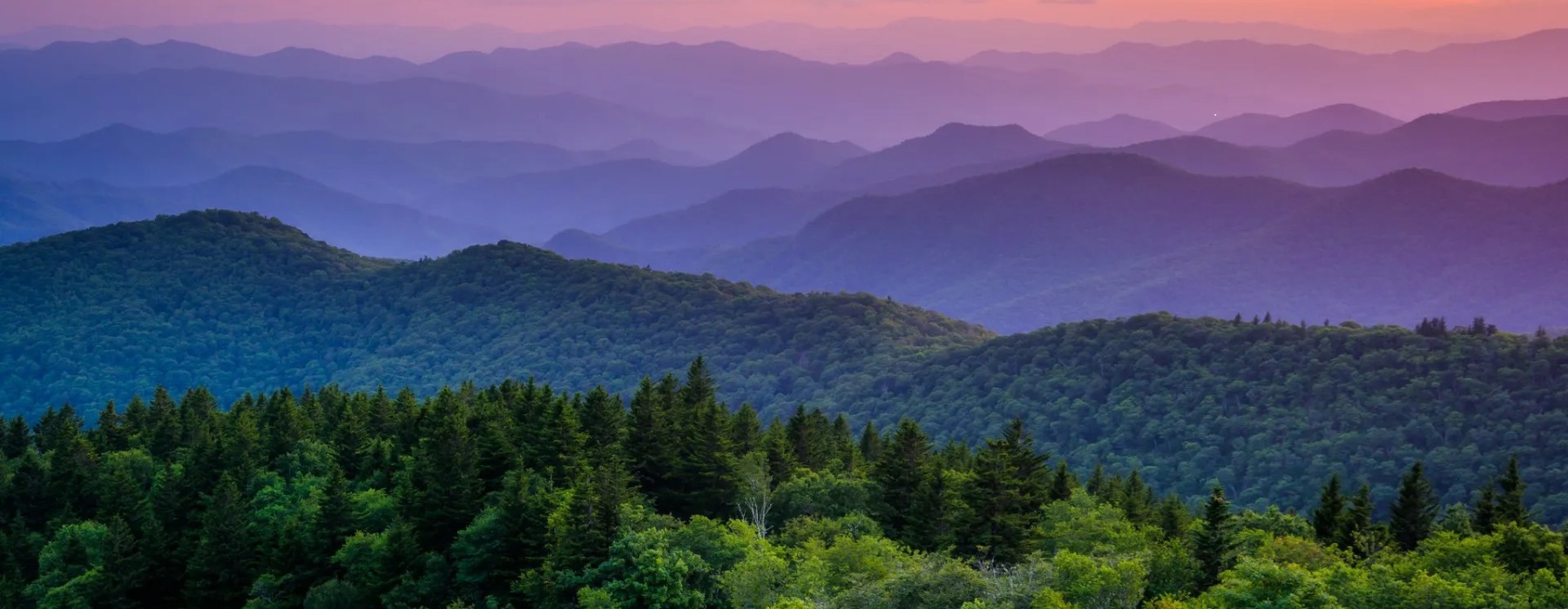 mountains behind a forested landscape